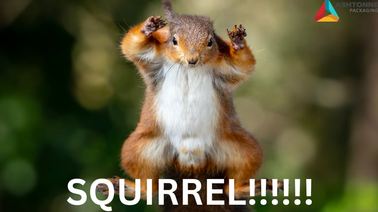 Back to Basics in Packaging, Warehousing and Shipping