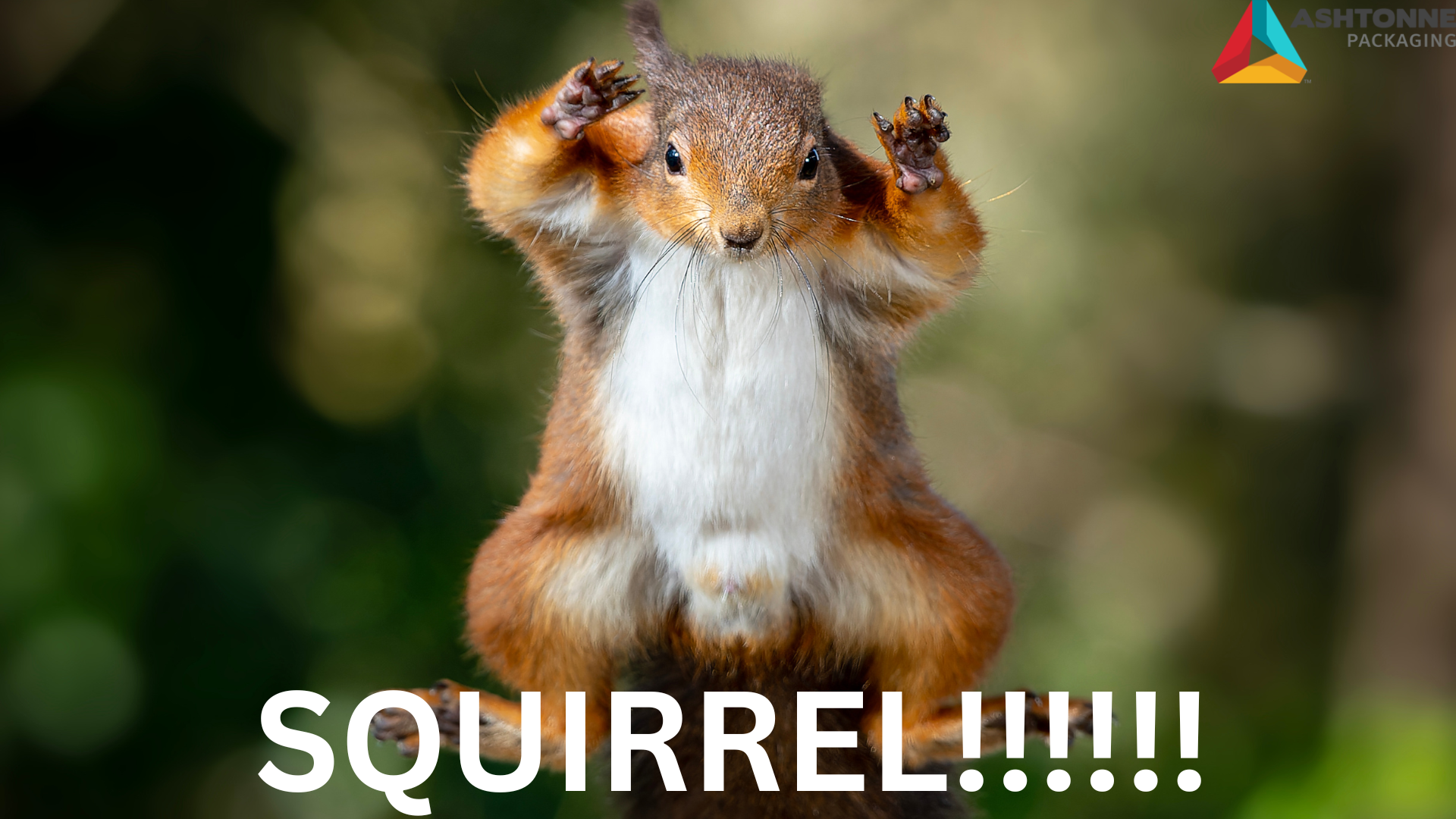 Back to Basics in Packaging, Warehousing and Shipping