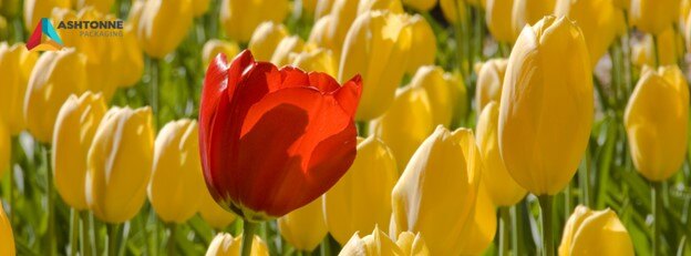 Standing Out and Selling Out With a Competitive Packaging Edge